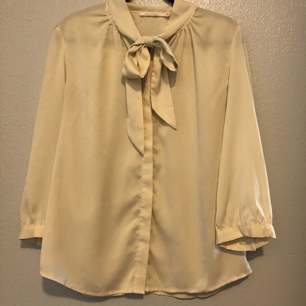Professional, silk shirt